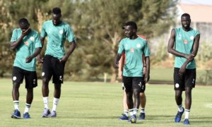 Lions de la Téranga à l'entraînement