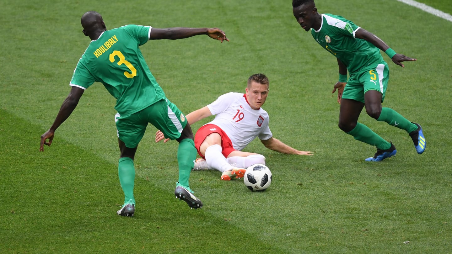 Photos : revivez en images la belle victoire des Lions devant la Pologne