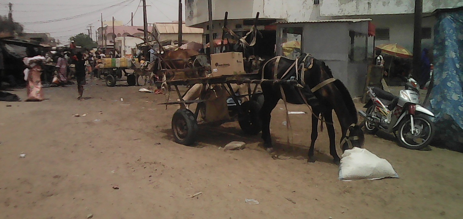 Marché Medina Baye de Kaolack : immersion au sein de la foire commerciale du désordre