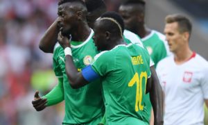 Photos : revivez en images la belle victoire des Lions devant la Pologne