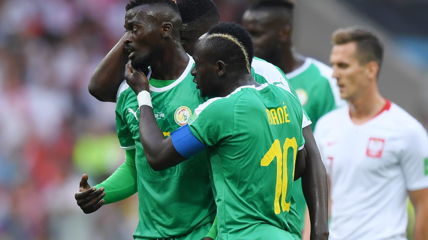 Photos : revivez en images la belle victoire des Lions devant la Pologne