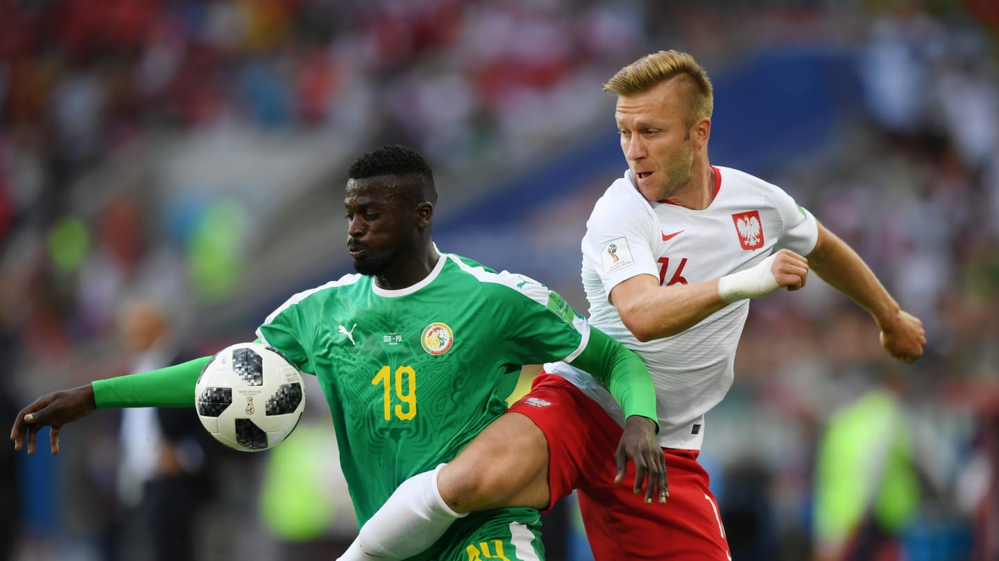 Photos : revivez en images la belle victoire des Lions devant la Pologne