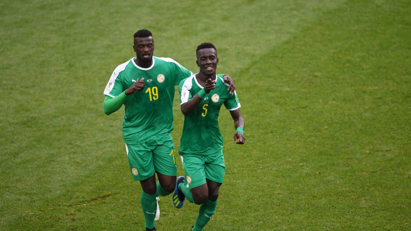 Photos : revivez en images la belle victoire des Lions devant la Pologne