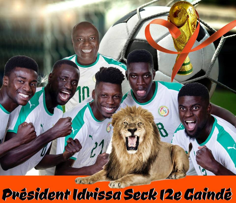 Montage Idrissa Seck lions