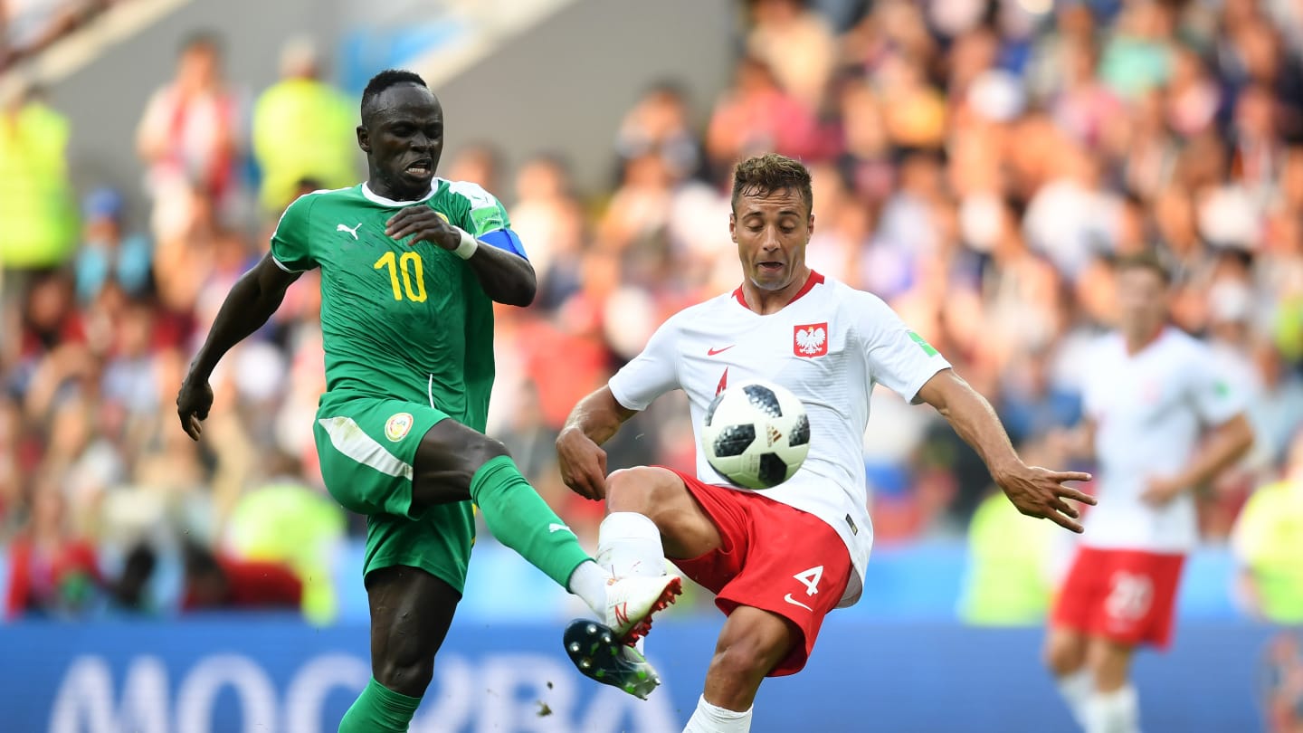 Photos : revivez en images la belle victoire des Lions devant la Pologne