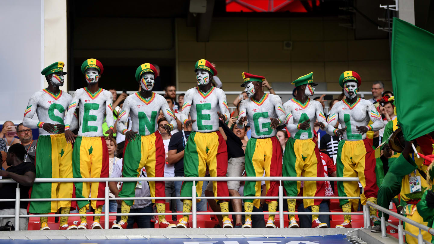 Photos : revivez en images la belle victoire des Lions devant la Pologne