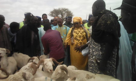 Tabaski 2018 : le ministre Aminata Mbengue Ndiaye rend visite aux éleveurs de Kahone