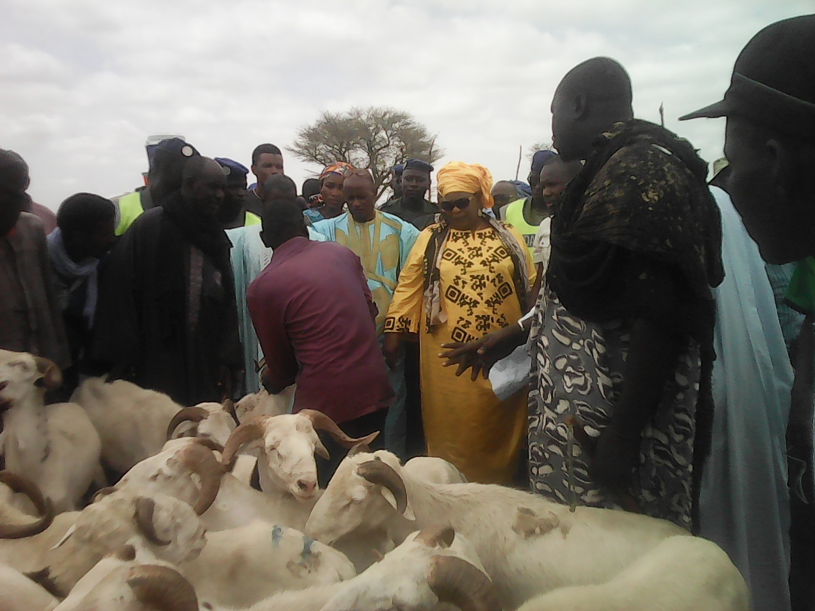 Tabaski 2018 : le ministre Aminata Mbengue Ndiaye rend visite aux éleveurs de Kahone