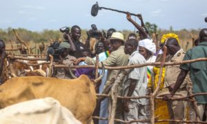 Macky Sall éleveurs vache