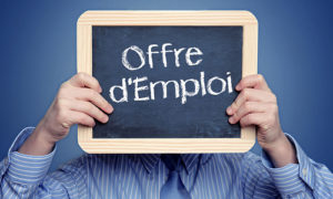 Offre d'Emploi