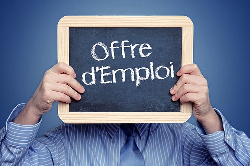 Offre d'Emploi