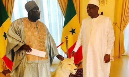 Serigne Mansour Niass, Rassemblement pour le Peuple Macky Sall