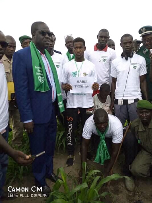 Journée nationale de l'arbre : Gandiaye accueille le lancement de la campagne nationale de reboisement