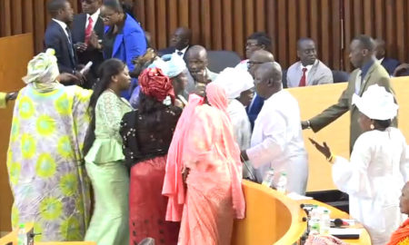 La honte : bataille rangée et scène de pugilat à l'Assemblée nationale