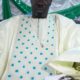 Kaolack : revivez la 19 em édition du "Goudi Cheikh" organisé par Serigne Ahmed Babacar Niass