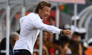 Hervé Renard-FRMF