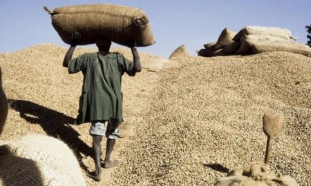 Kaolack : Ibrahima Badiane plaide pour la réforme de la campagne de commercialisation arachidière