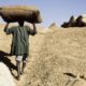 Kaolack : Ibrahima Badiane plaide pour la réforme de la campagne de commercialisation arachidière