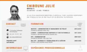 comment-faire-un-cv-professionnel-gratuit_1