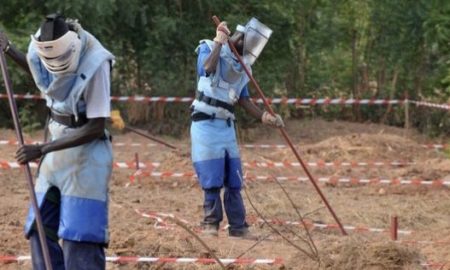 Casamance : 16 démineurs de «Hit Humanité et Inclusion» enlevés par des présumés éléments du Mfdc