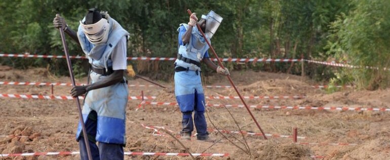 Casamance : 16 démineurs de «Hit Humanité et Inclusion» enlevés par des présumés éléments du Mfdc