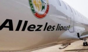 Avion Allez les Lions
