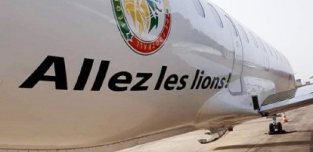 Avion Allez les Lions