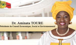 Conseil Économique Social et Environmental : la Première Session Extraordinaire prévue du 16 au 31 Juillet 2019