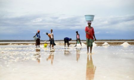 Fatick : Marie Diouf, la reine du sel sénégalaise goûte le succès dans un monde d'hommes