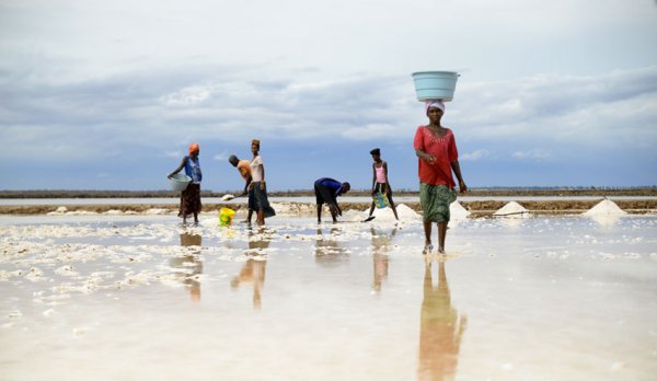 Fatick : Marie Diouf, la reine du sel sénégalaise goûte le succès dans un monde d'hommes