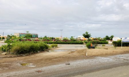 des fleurs devant le complexe Coeur de Ville à Kaoalck