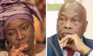 Amath-Dansokho-Dr-Aminata-Touré-.png