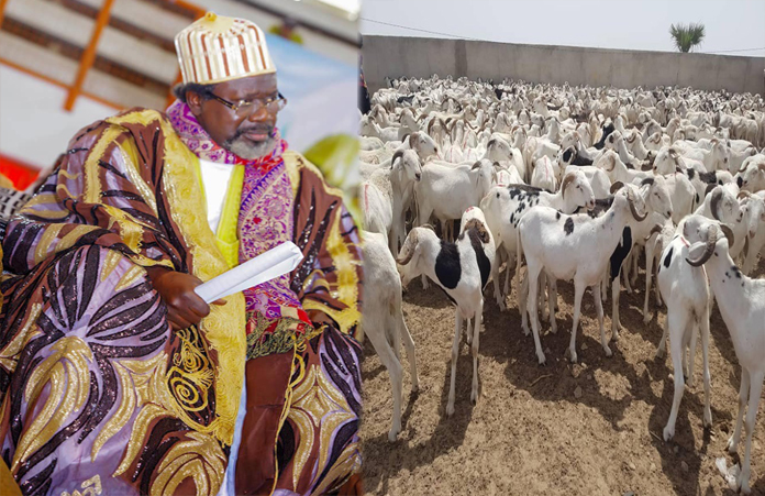 Cheikh Tidiane Alioune Cissé mouton Tabaski