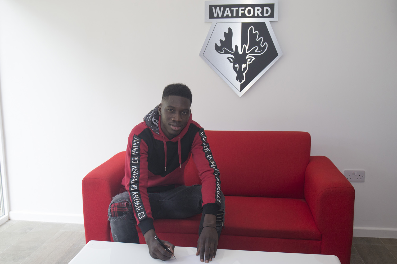 Mercato des Lions : Ismaïla Sarr quitte Rennes pour Watford (officiel)