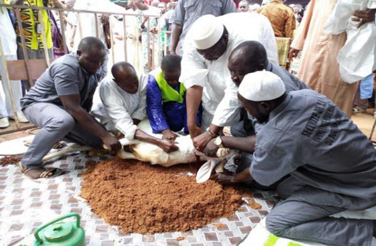 Tabaski-2019-senegal mouton égorgé