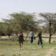 Chasse au senegal