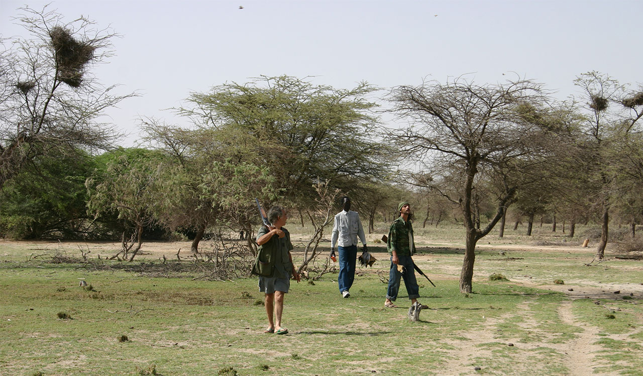 Chasse au senegal