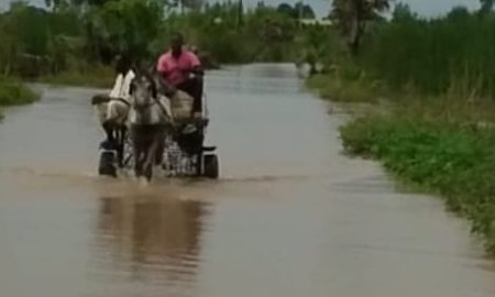 Nioro du rip : la route reliant Porokhane à Nioro impraticable