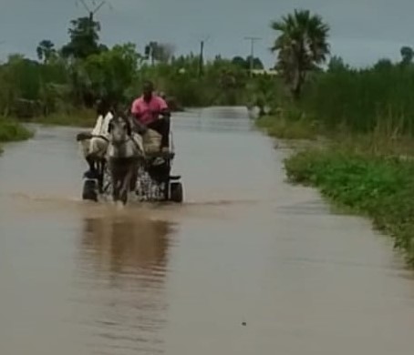 Nioro du rip : la route reliant Porokhane à Nioro impraticable