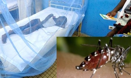 Alerte! : la Dengue est arrivée à Kaolack