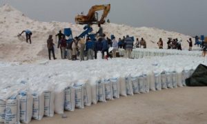 Kaolack : naissance d'une union de coopératives des producteurs de sel