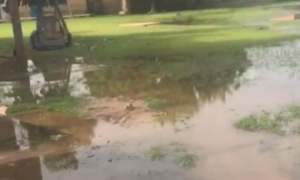 Kaolack : les eaux pluviales inondent l’école élémentaire de Gawane