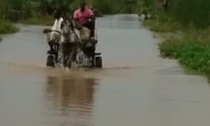 Nioro : la route reliant Porokhane à Nioro impraticable, une solution à moins et long terme envigasée