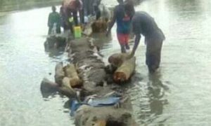 Diamal (Kaffrine) : la population de Keur Dioubol construit un pont avec des sacs de sable pour rallier Mbirkilane
