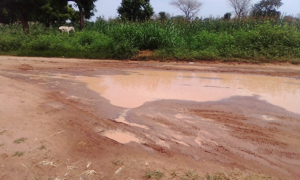 Kaolack : regardez le mauvais état de la route Mbadakhoune-Kahone