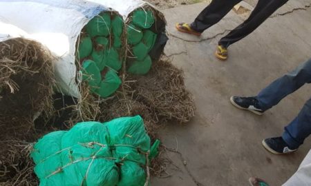 Mbirkilane (Kaffrine) : saisie de 210 kg de chanvre indien par la Brigade maritime des Douanes