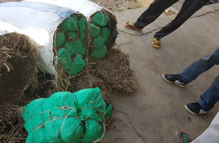 Mbirkilane (Kaffrine) : saisie de 210 kg de chanvre indien par la Brigade maritime des Douanes