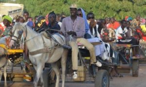 Magal de Touba : les charretiers se frottent les mains malgré le mauvais état de certaines routes