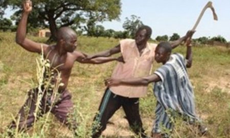 Affrontements entre éleveurs et cultivateurs à Kaffrine : 3 personnes blessées, 4 arrêtées