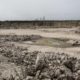 À Bandia: la population contre l'installation d'une nouvelle cimenterie pour protéger ses terres agricoles